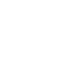 battery icon