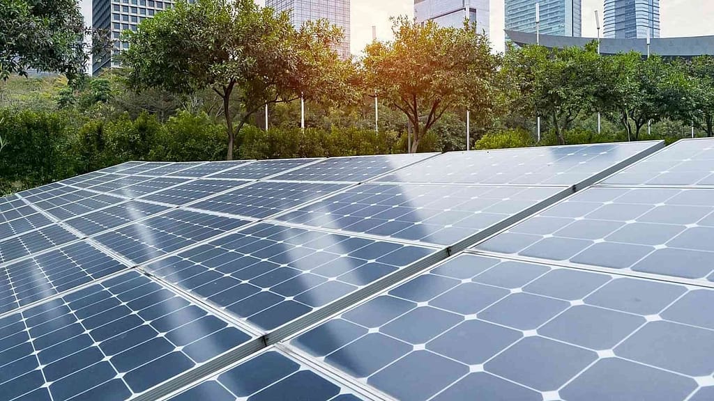 solar panels off-grid over trees and buildings